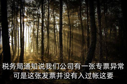 稅務(wù)局通知說我們公司有一張專票異?？墒沁@張發(fā)票并沒有入過帳這要