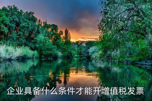 什么企業(yè)增值稅發(fā)票，企業(yè)具備什么條件才能開增值稅發(fā)票