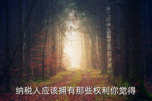 納稅人的權(quán)益有什么，納稅人應(yīng)該擁有那些權(quán)利你覺(jué)得
