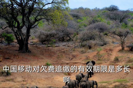 中國移動(dòng)對欠費(fèi)追繳的有效期限是多長啊