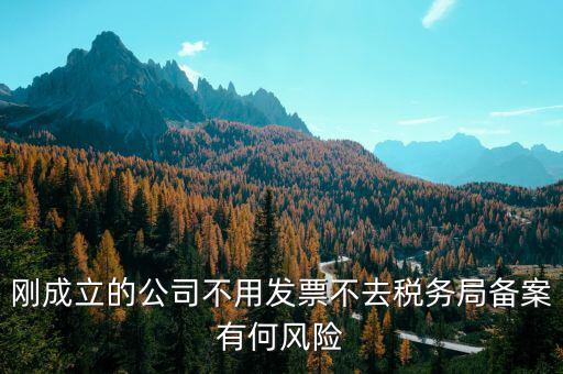 稅收備案制有什么風(fēng)險，稅收政策變化導(dǎo)致中小企業(yè)的風(fēng)險有哪些