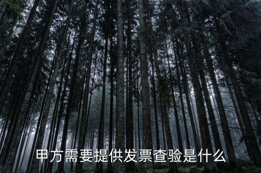 發(fā)票查詢驗是什么意思，發(fā)票驗證是什么意思