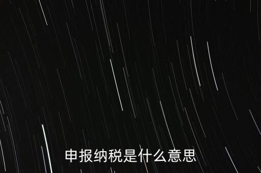 通用申報(bào)稅是什么，非稅收入通用申報(bào)表是什么稅