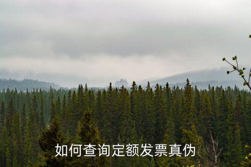 定額發(fā)票查詢的密碼是什么，如何查詢定額發(fā)票真?zhèn)?/></a></span><span id=