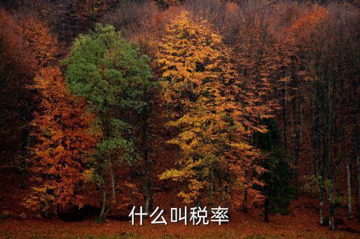 什么叫增值稅稅率，增值稅普通發(fā)票的稅率是什么意思