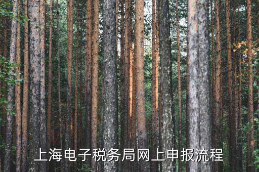 上海稅務(wù)網(wǎng)上直報(bào)是什么，什么是網(wǎng)上報(bào)稅