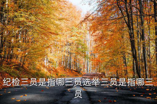 稅務中的三員是什么意思，納稅人實名采集法人實名采集什么意思納稅實名制