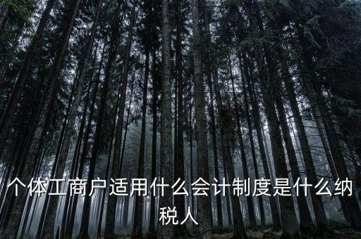 個體戶屬于什么納稅人，從事縫紉業(yè)務(wù)的個體戶屬于哪一類納稅人