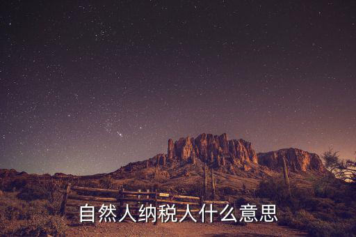 什么是自然人辦稅，自然人納稅人什么意思