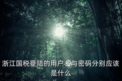 浙江國稅密碼是什么意思，浙江地稅開票軟件中數(shù)據(jù)庫密碼是多少