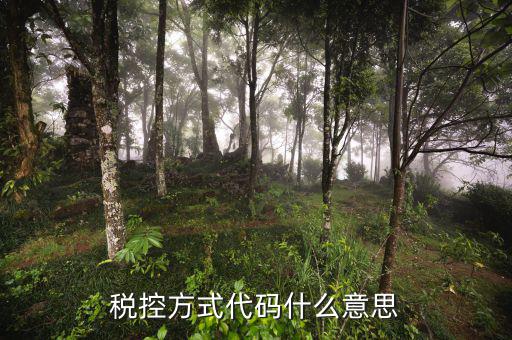什么叫稅控碼，稅控方式代碼什么意思
