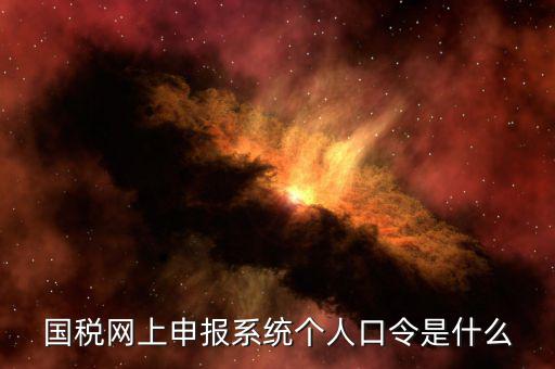 國稅證書口令是什么意思，網(wǎng)上申報(bào)國稅系統(tǒng)登陸的口令是什么