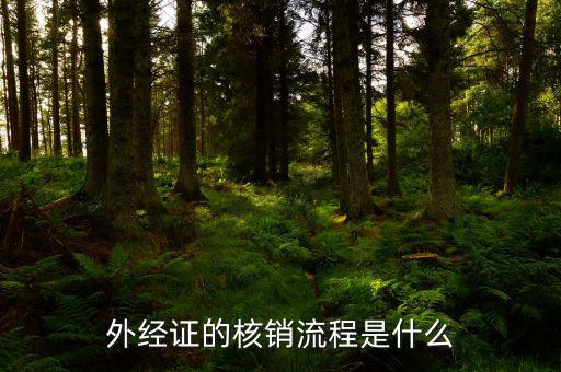 核銷的外經(jīng)證是什么樣，外經(jīng)證核銷是什么意思