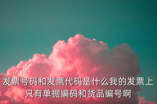 發(fā)票號指的是什么，發(fā)票號碼是指哪個號碼