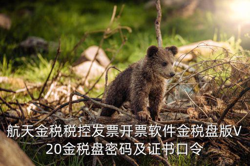 新稅盤證書口令是什么，金稅盤初始密碼和口令是多少