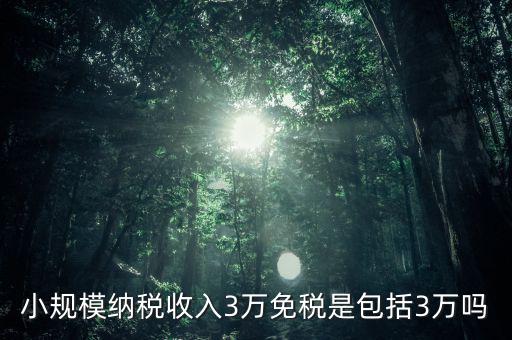 3萬免稅是指什么，小規(guī)模納稅收入3萬免稅是包括3萬嗎