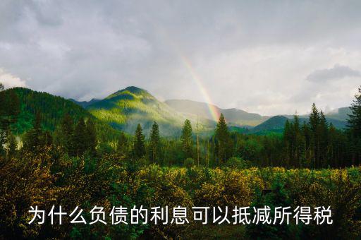 企業(yè)負債時稅率有什么優(yōu)惠，企業(yè)所得稅優(yōu)惠政策有哪些