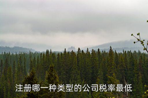 蘇州開(kāi)什么樣的公司稅率最低，注冊(cè)什么類型的公司交稅最少
