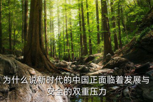 中國(guó)的雙重負(fù)擔(dān)是什么，為什么說(shuō)新時(shí)代的中國(guó)正面臨著發(fā)展與安全的雙重壓力