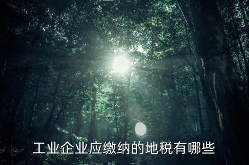 什么企業(yè)交土地使用稅，企業(yè)自有房屋土地使用稅繳納
