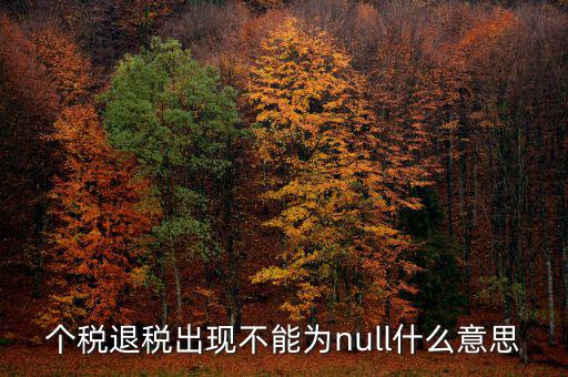 個稅退稅出現不能為null什么意思