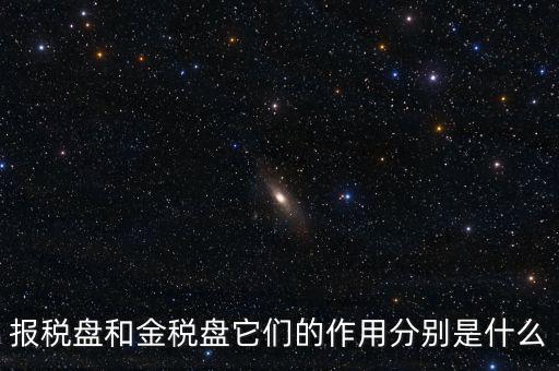 報稅盤做什么用的，報稅盤和金稅盤它們的作用分別是什么