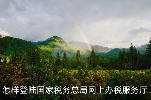 稅務局登錄什么瀏覽器可以，怎樣登陸國家稅務總局網(wǎng)上辦稅服務廳