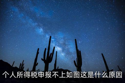 個稅申報不成功什么原因，個人所得稅申報不上如圖這是什么原因