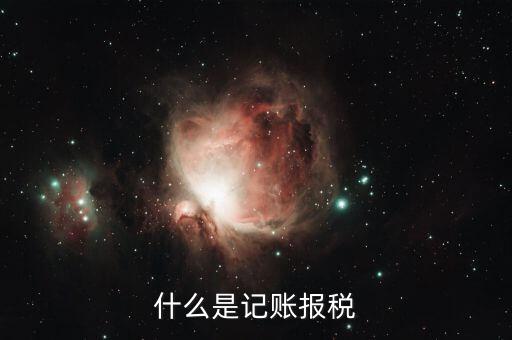 報稅記錄是指什么，報稅是什么意思 報稅的含義