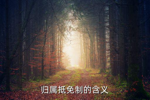 為什么要制定實(shí)施稅收抵免制度，歸屬抵免制的含義