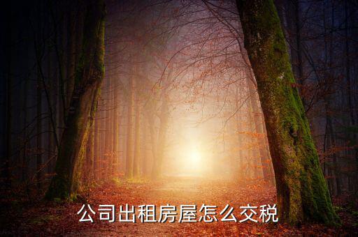 企業(yè)承租房屋交什么稅，公司租賃房屋需要交哪些稅
