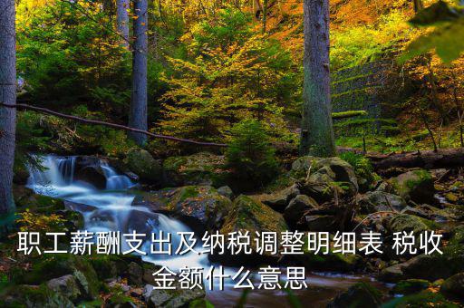 什么是納稅調(diào)整金額，職工薪酬支出及納稅調(diào)整明細(xì)表 稅收金額什么意思