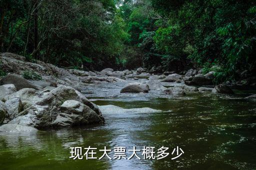 車輛大票是額多少什么，現(xiàn)在大票大概多少