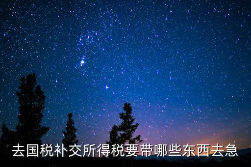 去國稅補繳增值稅要帶什么，增值稅零申報逾期申報了48天 到國稅補申報需要準(zhǔn)備什么資料 帶什么