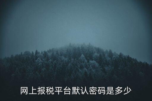 網(wǎng)上報(bào)稅平臺默認(rèn)密碼是多少