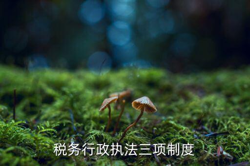稅務(wù)行政執(zhí)法三項制度