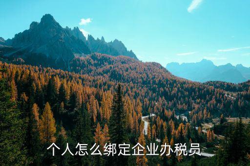 辦稅人員該綁定什么人，個(gè)人怎么綁定企業(yè)辦稅員