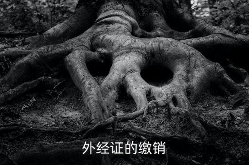 廈門繳銷外經(jīng)證國稅什么資料，廈門國稅需銷項合同是什么