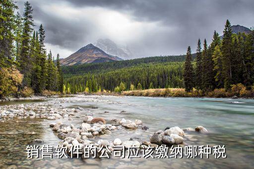 軟件營銷應(yīng)該上什么稅，銷售軟件交什么稅