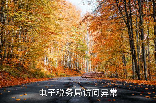 電子稅務(wù)局訪問(wèn)異常