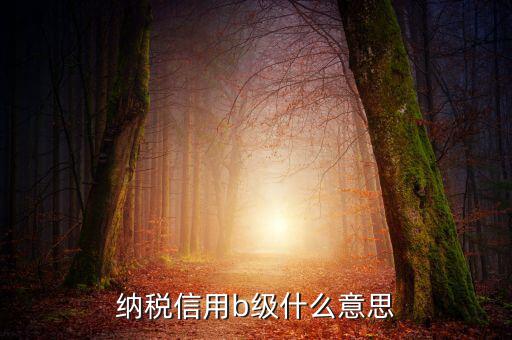 國(guó)稅信用評(píng)級(jí)是b 是什么意思，納稅信用等級(jí)評(píng)定為B級(jí) 什么意思呢有什么說(shuō)法嗎