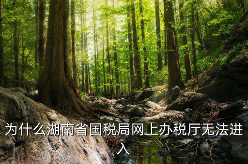 為什么湖南省國(guó)稅局網(wǎng)上辦稅廳無法進(jìn)入