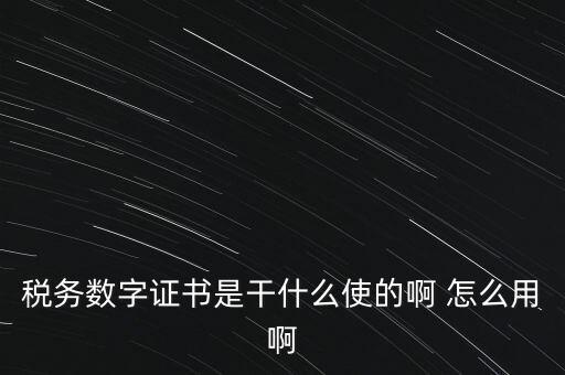 國稅ca數(shù)字證書是什么，稅務數(shù)字證書是干什么使的啊 怎么用啊