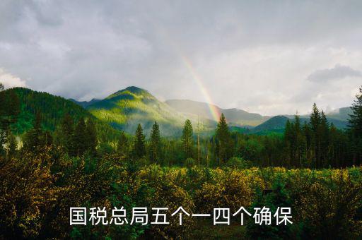稅務(wù)局五個一是什么意思，國稅總局五個一四個確保