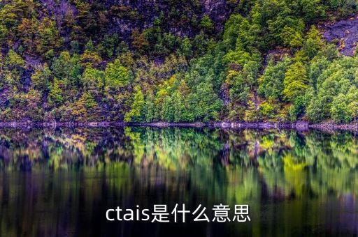 ctais是什么意思，ctais中增值稅認(rèn)定級別是什么意思