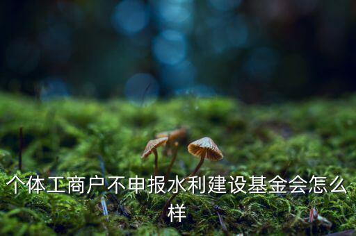 水利基金不報(bào)有什么后果，水利建設(shè)基金計(jì)稅當(dāng)月沒報(bào)有影響嗎