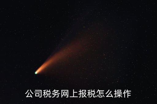 企業(yè)報稅登什么網(wǎng)站，企業(yè)稅務(wù)申報去哪個網(wǎng)站