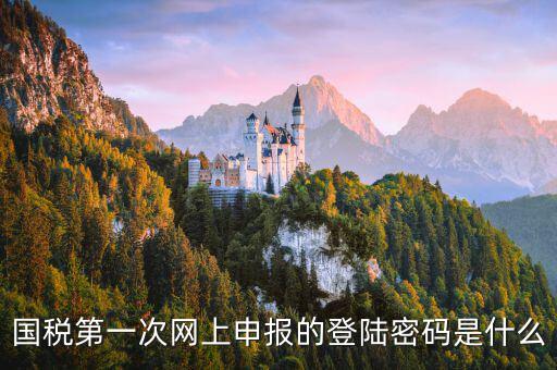 國(guó)稅網(wǎng)報(bào)口令是什么，國(guó)稅第一次網(wǎng)上申報(bào)的登陸密碼是什么