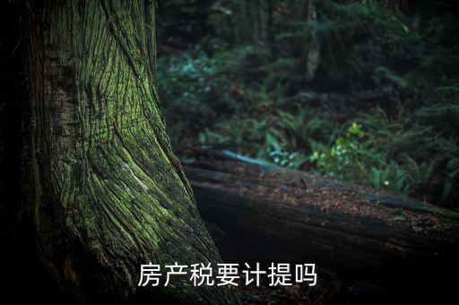 房產(chǎn)稅列入什么費用，房產(chǎn)稅要計提嗎