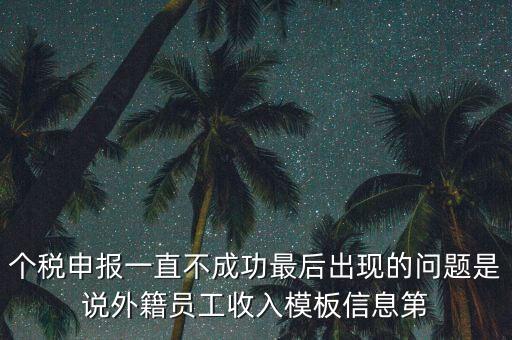 個稅申報(bào)一直不成功最后出現(xiàn)的問題是說外籍員工收入模板信息第